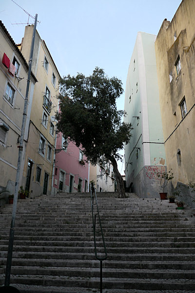 1 Lisbonne Escaliers Dans L Alfama